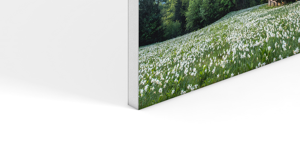 Photo contrecoll&eacute;e sur Carton Plume