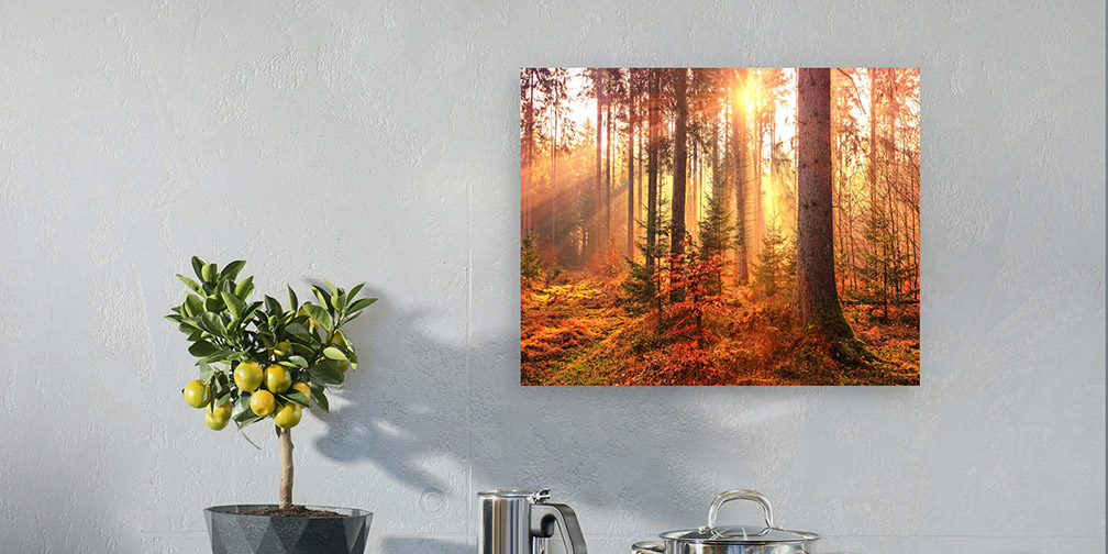 Photo contrecoll&eacute;e sur PVC