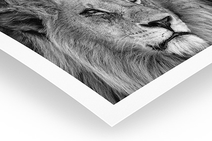 Tirage Noir & Blanc - PICTO Online