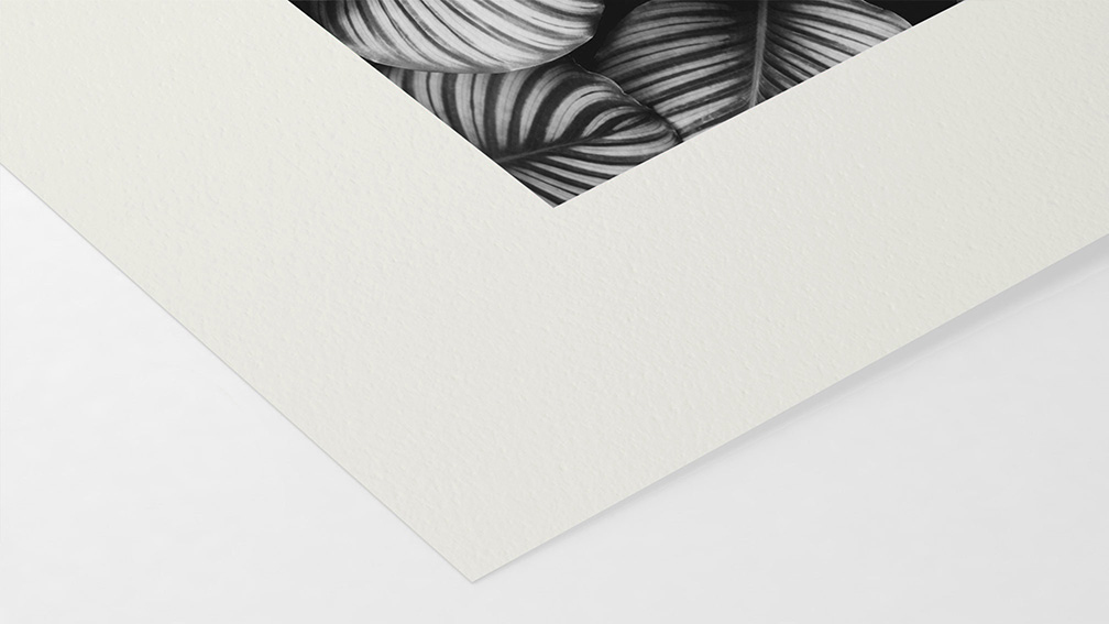 Bamboo Hahnemühle 290g (sur HP Noir et Blanc)