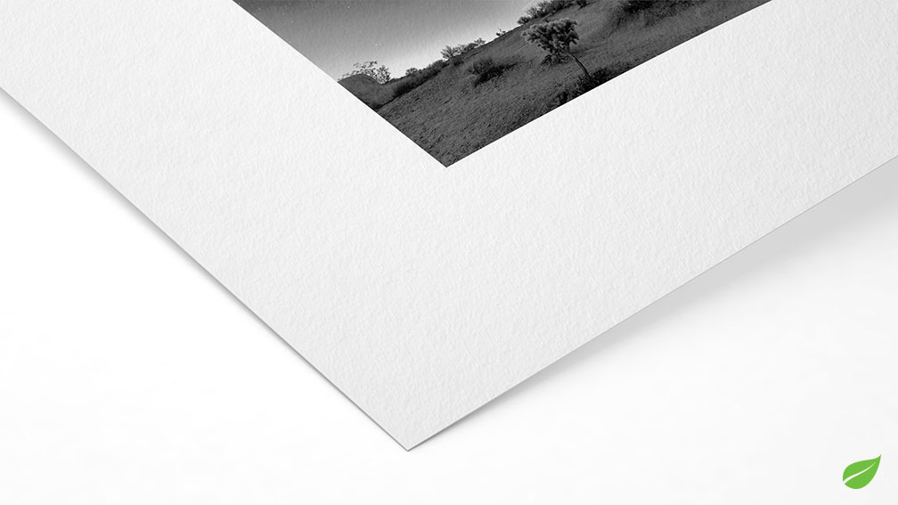 Agave Natural Line Hahnemühle 290g (sur Piezo Pro Charbon)