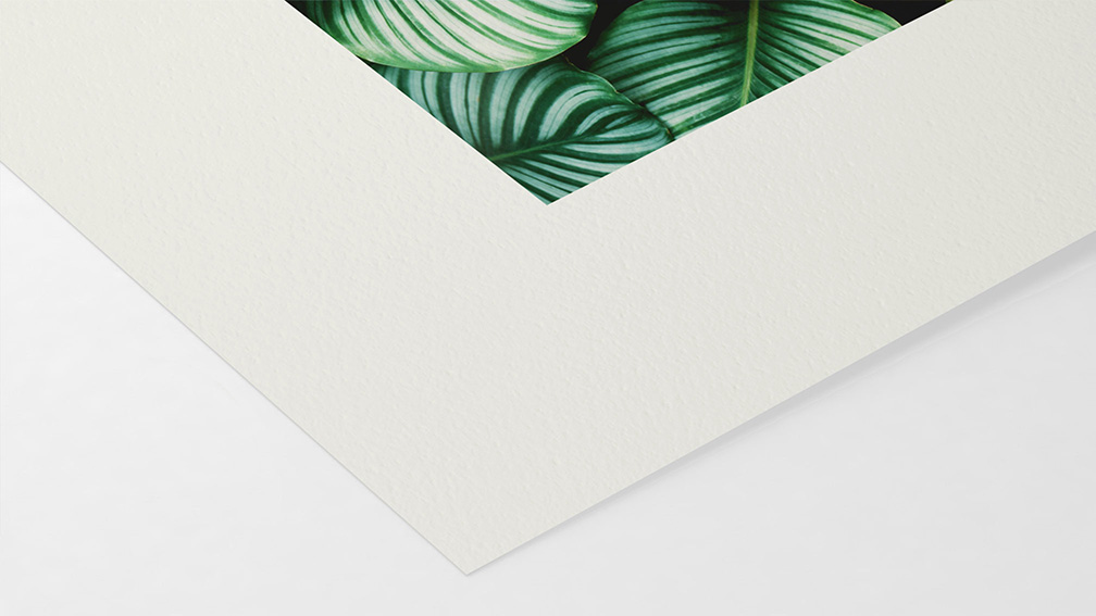 Bamboo Hahnemühle 290g (sur HP)