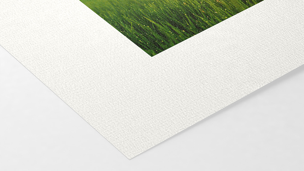 Aquarelle Arches 310g (sur HP)