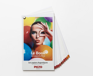 PICTO Online