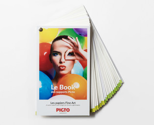 PICTO Online