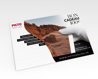 PICTO Online