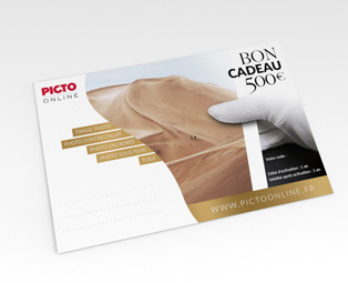 PICTO Online